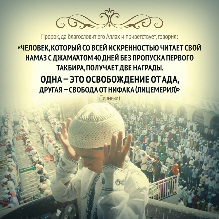 Исламские цитаты