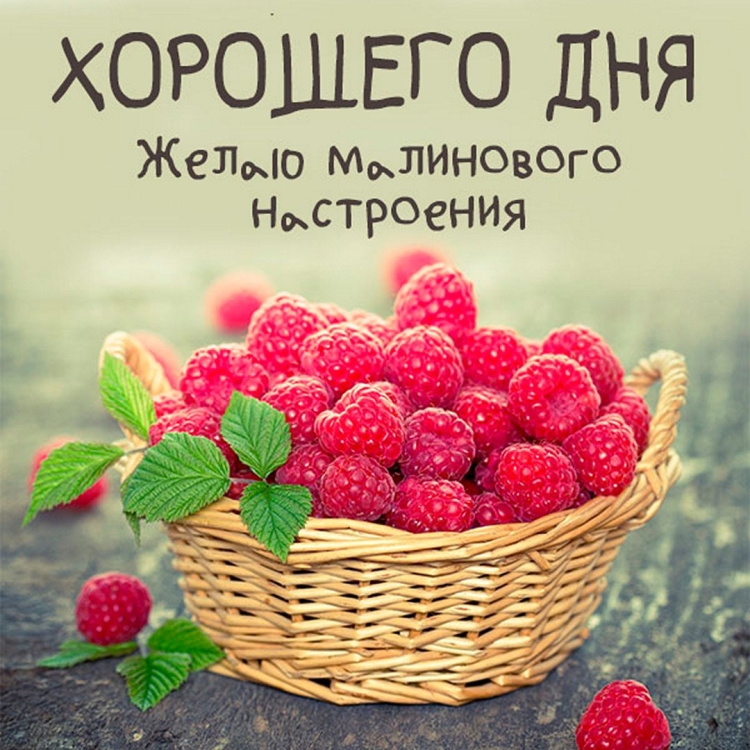 Доброе утро группа