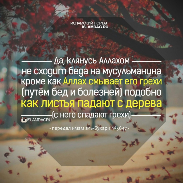 Хадисы про милость Всевышнего