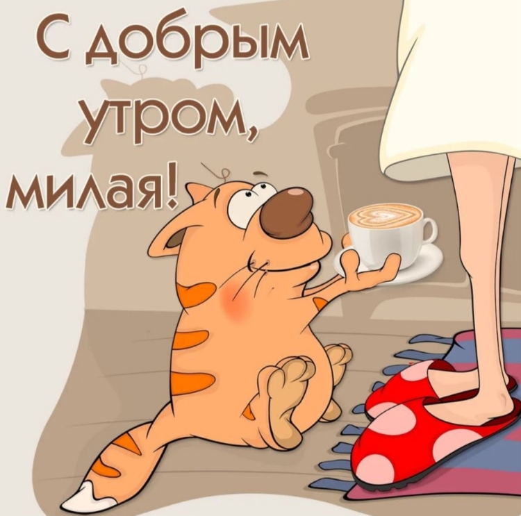 Фприкольныепожелагия с ДООБРЫМ утром