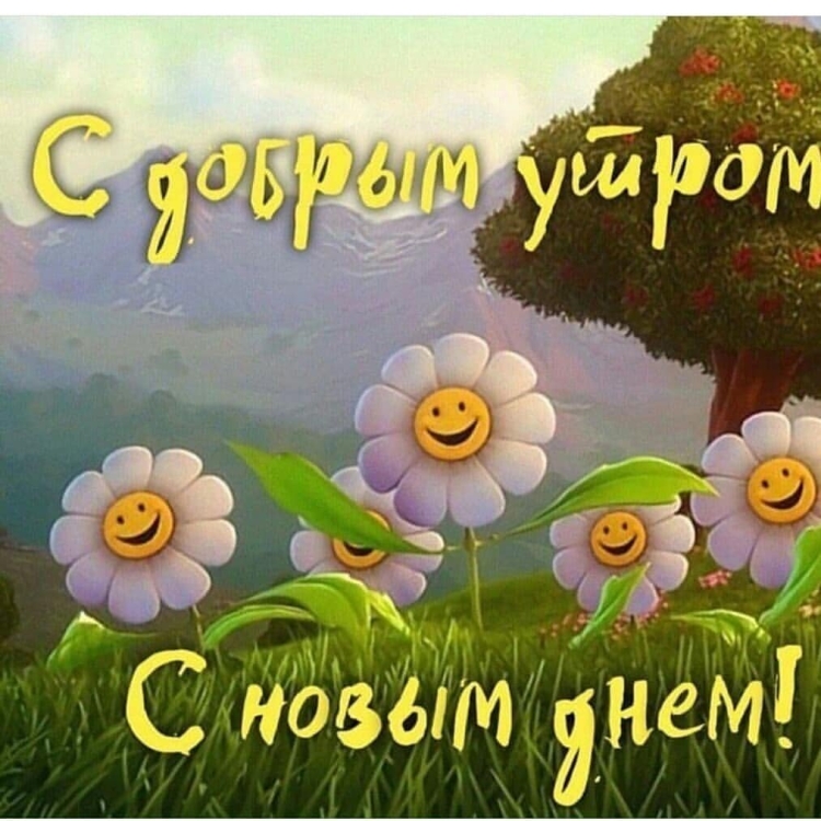 Пожелания с добрым утром прикольные
