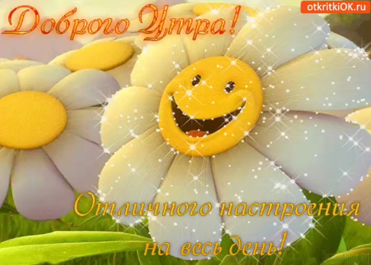 Открытки с добрым утром прикольные
