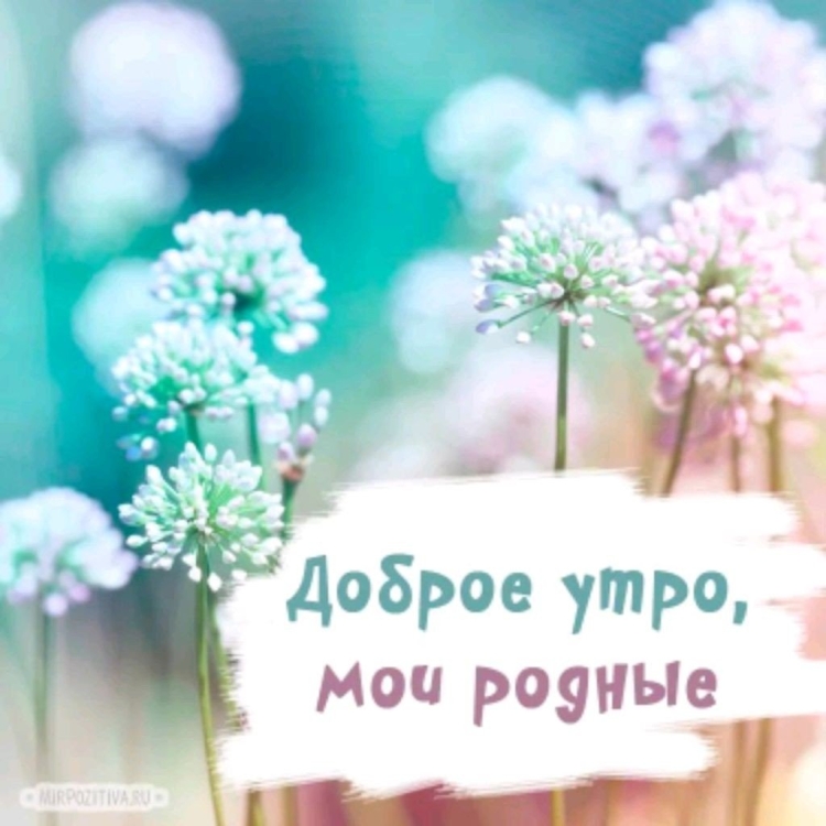 Пожелания с добрым утром стильно