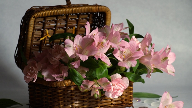 С днем рождения Ласиса