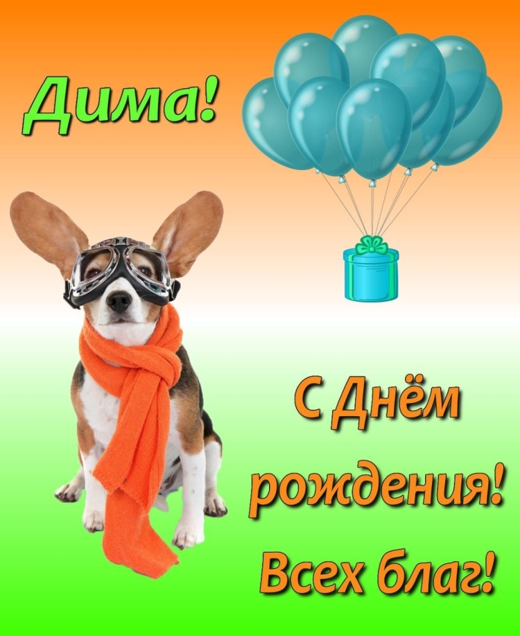 С днём рождения Дима открытки