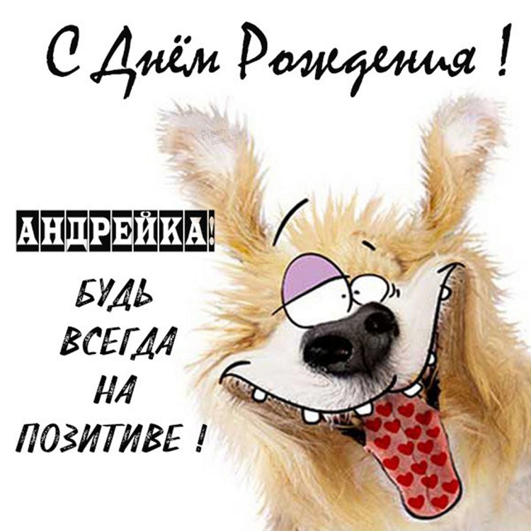 С днём рождения Паша