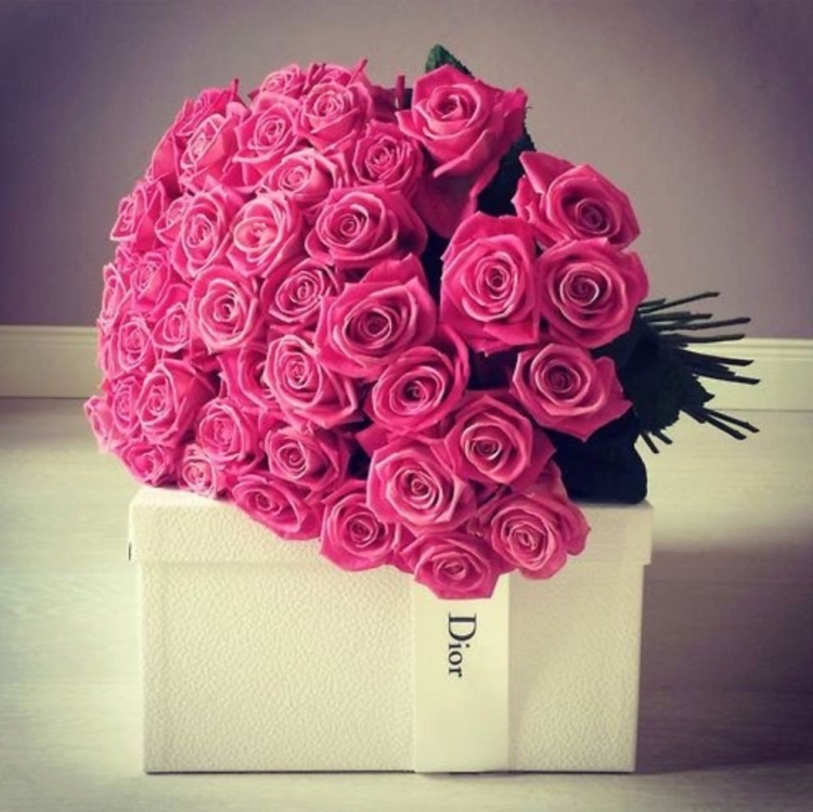 София с днём рождения розы