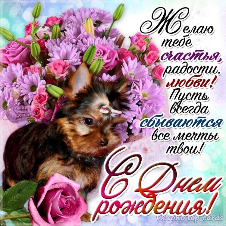 Катя с днём рождения прикольные поздравления