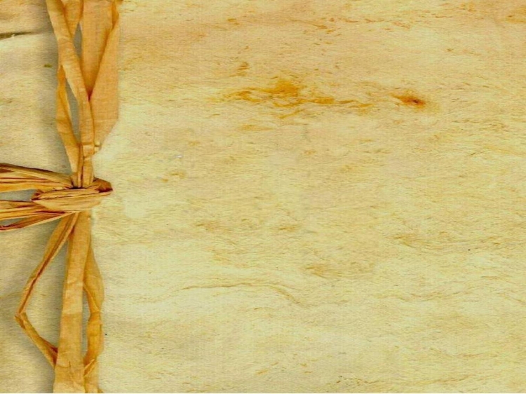 Фон для презентации по технологии