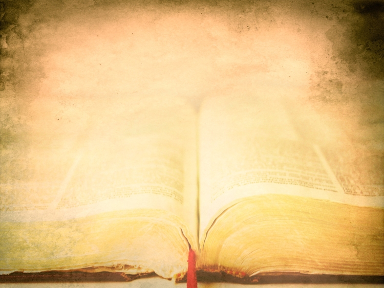 Литературный фон для презентации