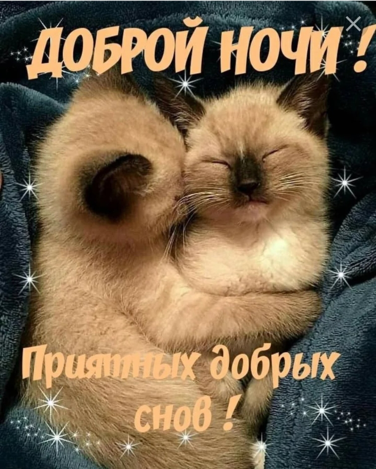 Сладких снов обнимаю