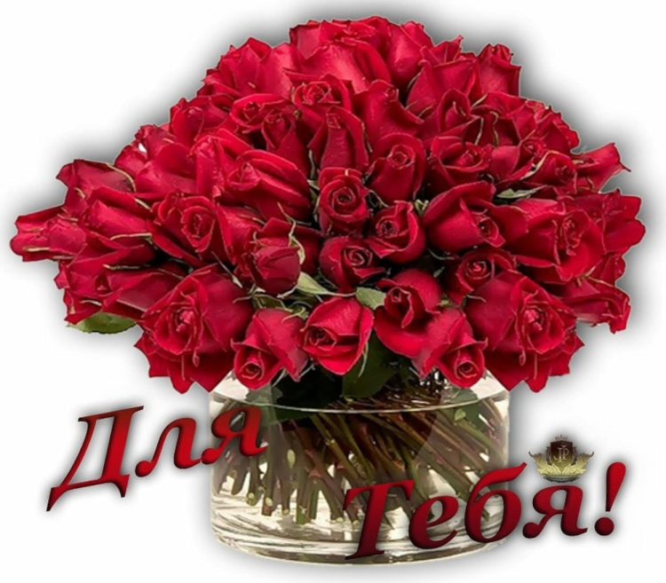 Розы для тебя