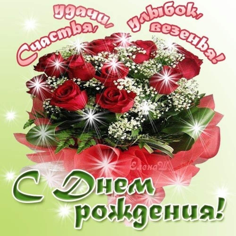 С днём рождения девушке красивые цветы