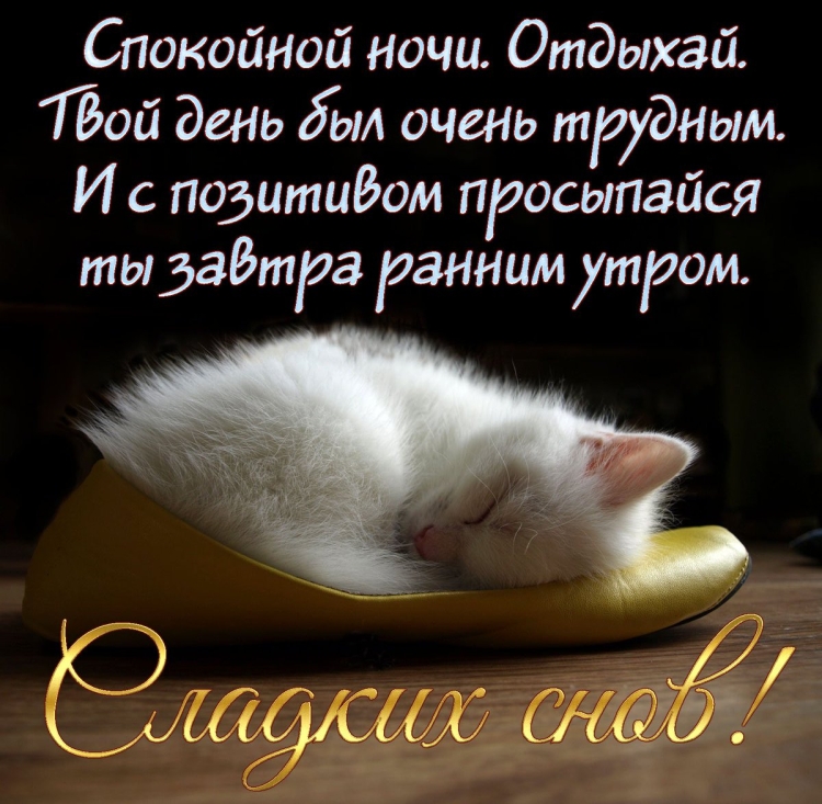 Пожелания спокойной ночи девушке