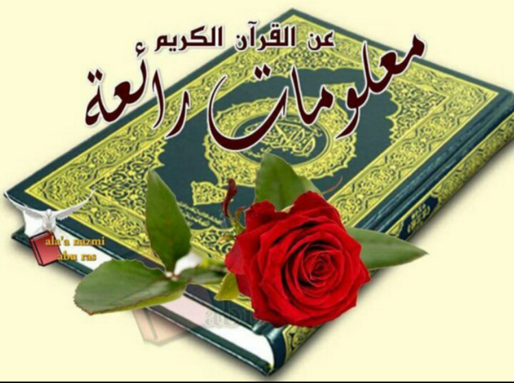 Открытки мусульманские на татарском языке