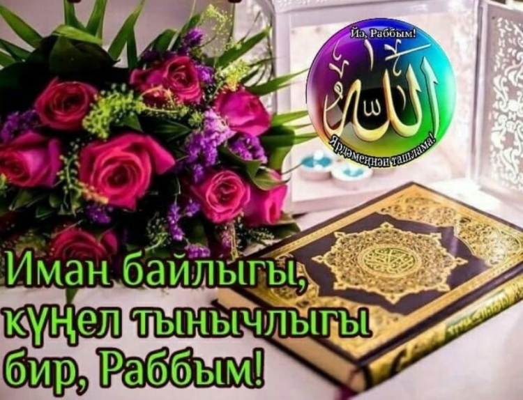 Жомга картинки