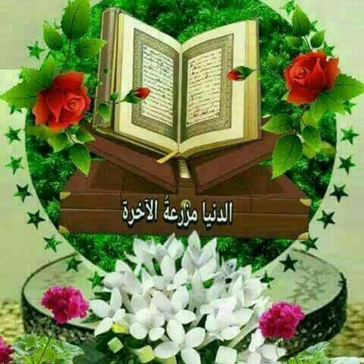 Картина Жомга