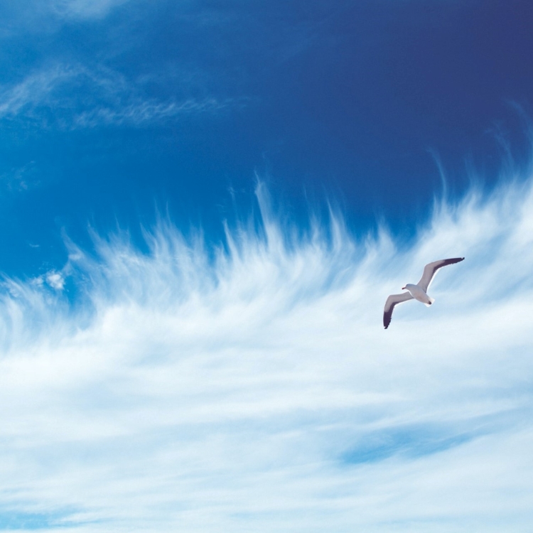 Поздравления с днём рождения мужчине природа