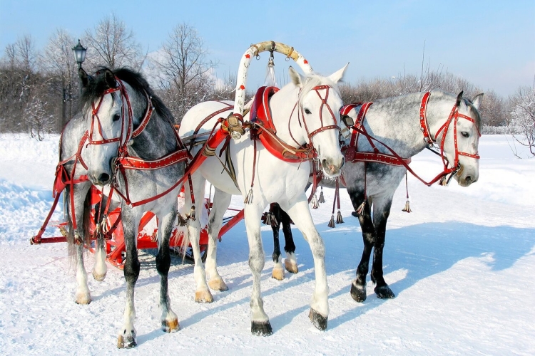 Русская тройка