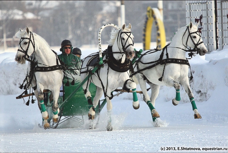 Русская упряжка тройка