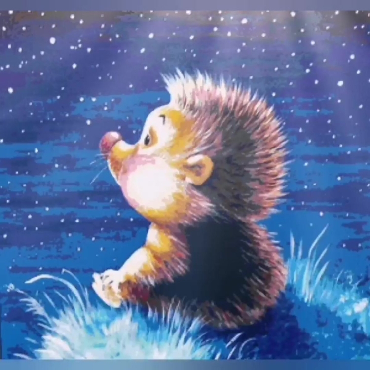 Ежик и звезда