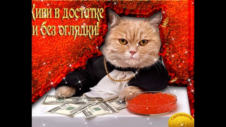 Живи в достатке и без оглядки