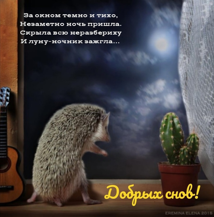 Одинокий Ежик