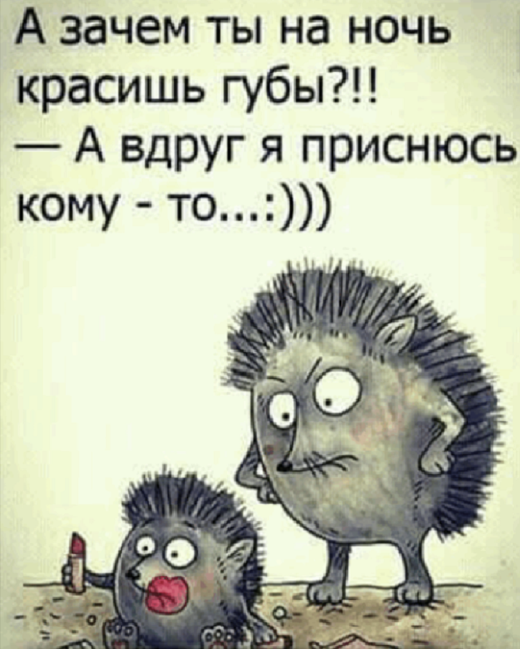 Ежик с надписями