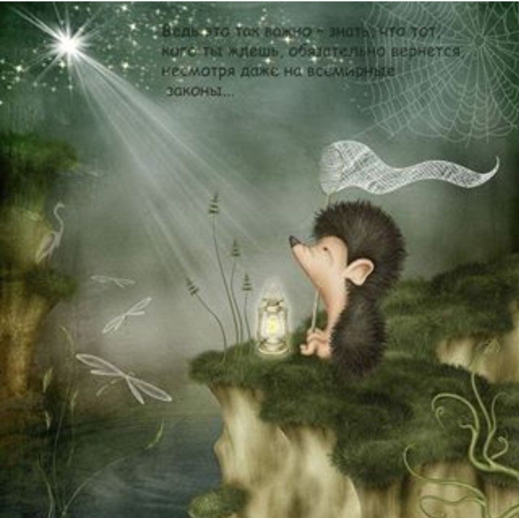 Спокойной ночи Ежик мой