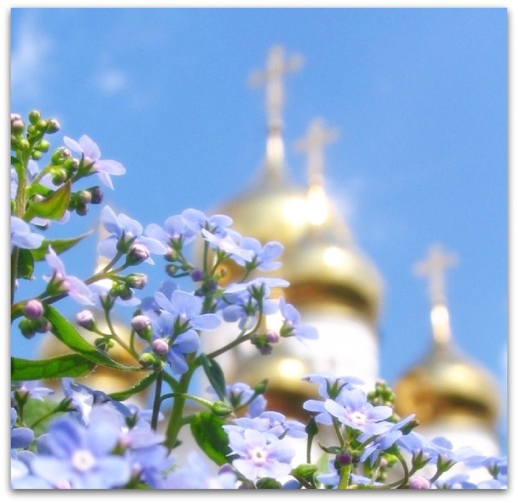 Незабудки Церковь