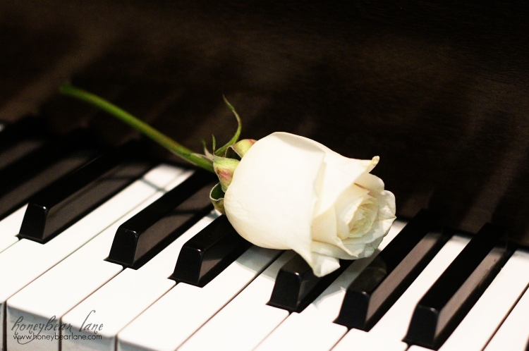 Роза на рояле картинки