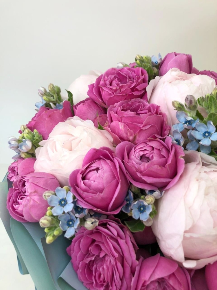 Мосцветторг пионы