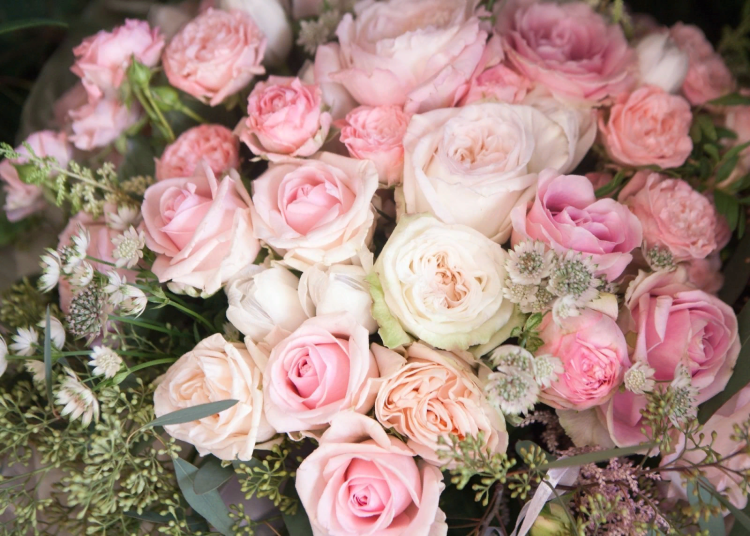 Пионовые розы