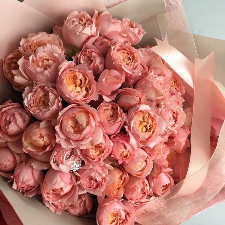 Пионовидная роза Джульетта