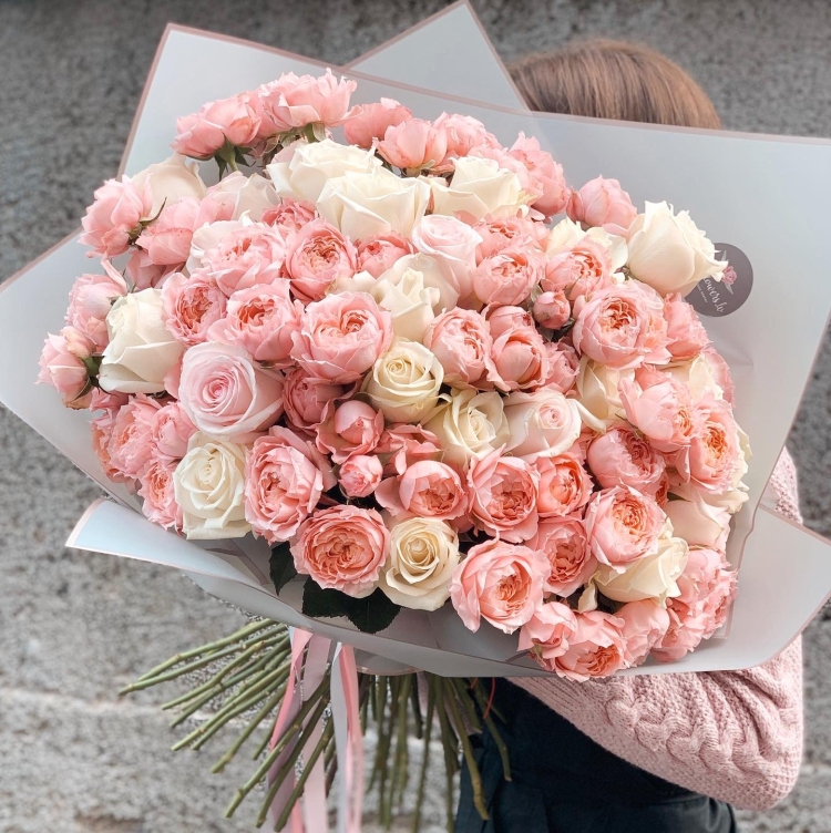 Роза кустовая Джульетта