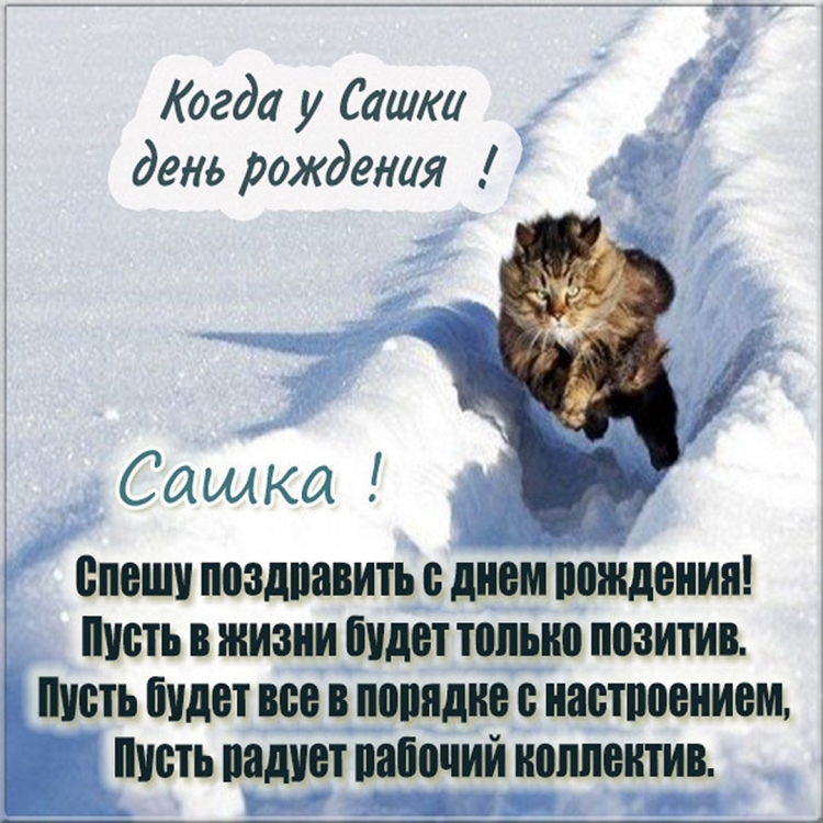 Катюшка с днём рождения прикольные