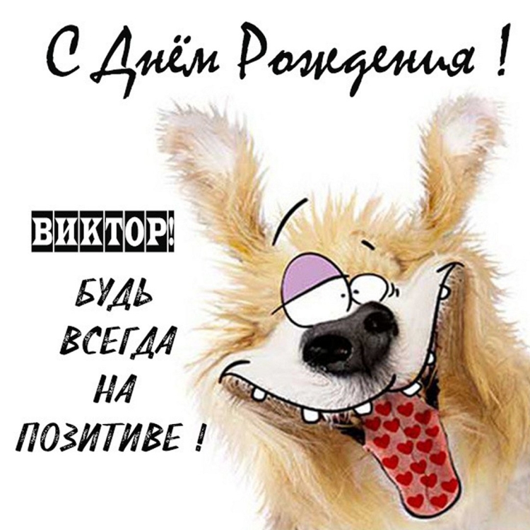 Поздравления с днём рождения Лиля