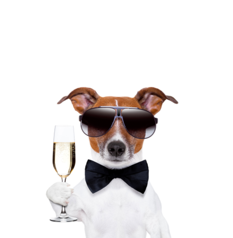 Стильные поздравления с днем рождения мужчине