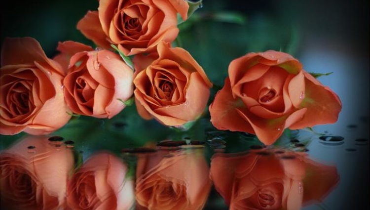 С днём рождения Инночка