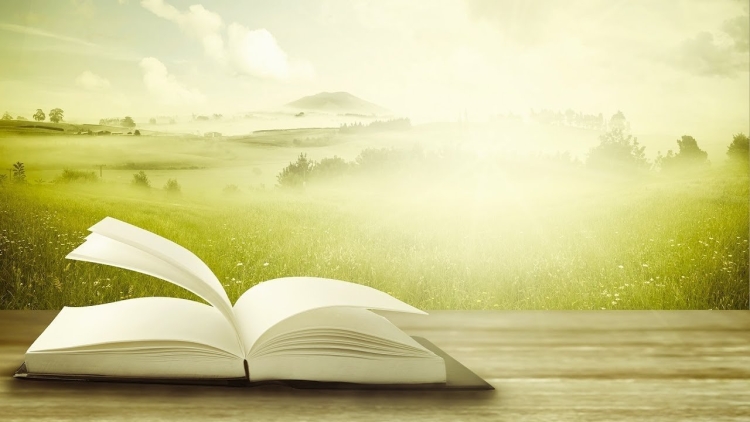 Фон для презентации литература