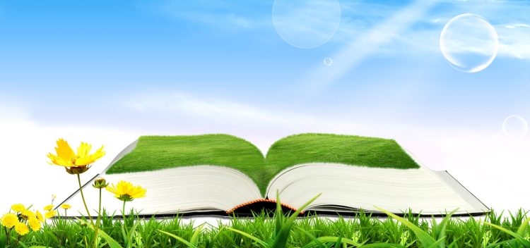 Летний фон с книгой