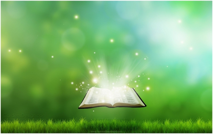 Красивый фон с книгами