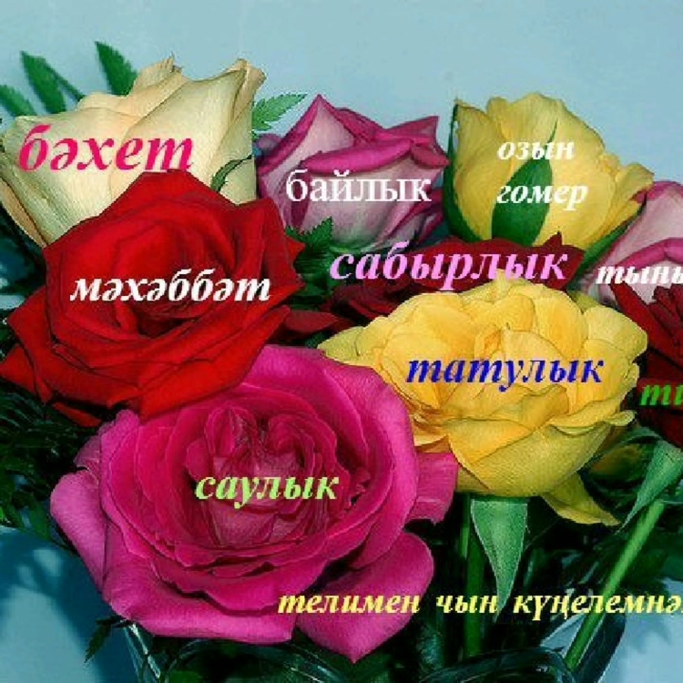 Поздравления с днём рождения женщине на татарском языке красивые