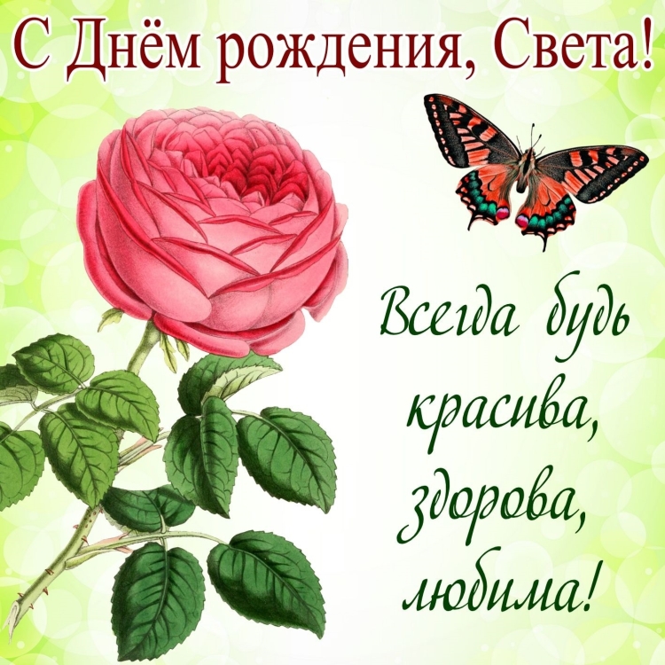 Поздравительная открытка