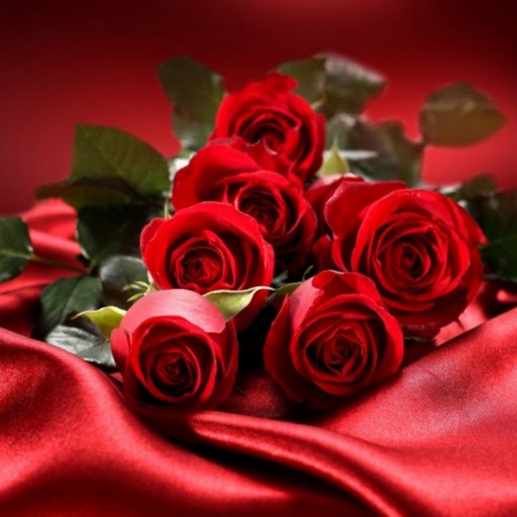 Катюша, чюс днем рождения