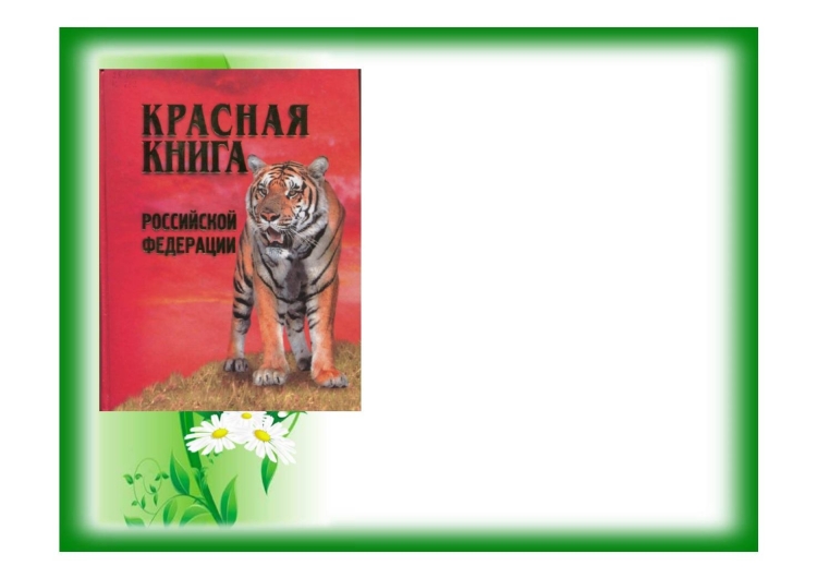 Фон для презентации красная книга