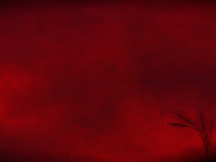 Темно Багровый цвет