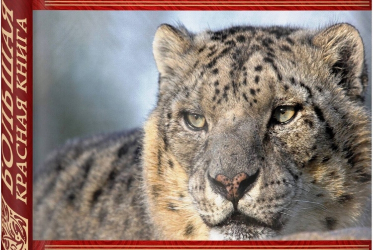 Фон с животными из красной книги