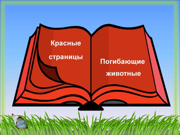 Красная книга фон
