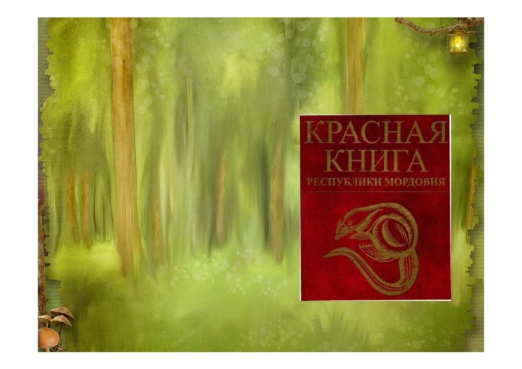 Красная книга фон